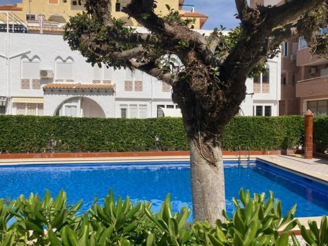 Casa Torrevieja La Mata Villa Luaran gambar